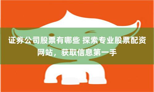 证券公司股票有哪些 探索专业股票配资网站，获取信息第一手