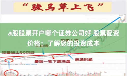 a股股票开户哪个证券公司好 股票配资价格：了解您的投资成本