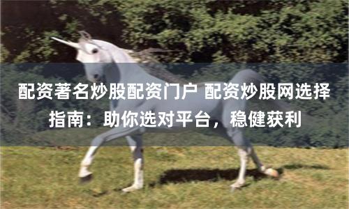 配资著名炒股配资门户 配资炒股网选择指南：助你选对平台，稳健获利