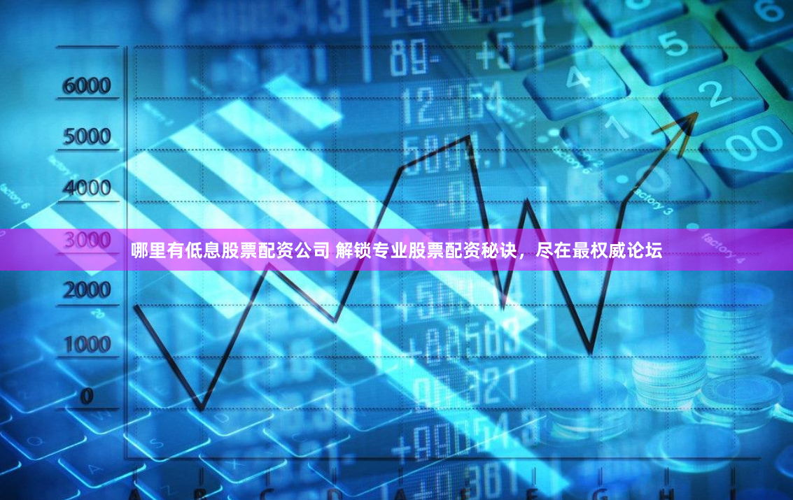 哪里有低息股票配资公司 解锁专业股票配资秘诀，尽在最权威论坛