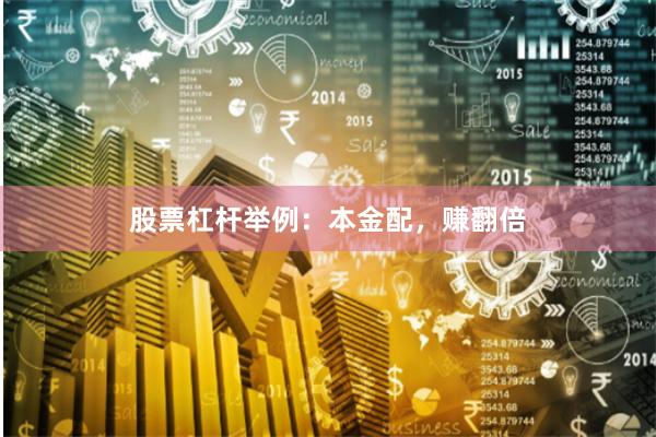 股票杠杆举例：本金配，赚翻倍